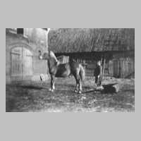 091-0005 Frau Selma Schlaugiess im Hof mit dem Pferd Jakob.jpg